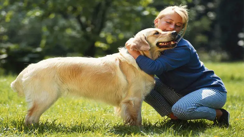 5 Books for National Pet Memorial Day