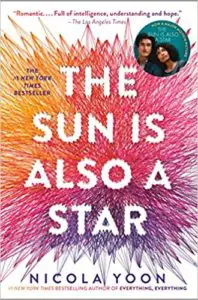 The Sun Is Also a Star book cover