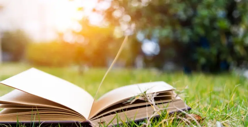 Summer Flings – 5 Fantasy Standalones