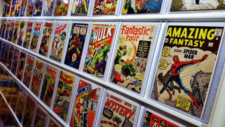 Burglar Sells Stolen Comics Back to Rightful Owner by Accident