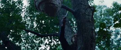 Tracker-jacker scene in 'The Hunger Games' movie