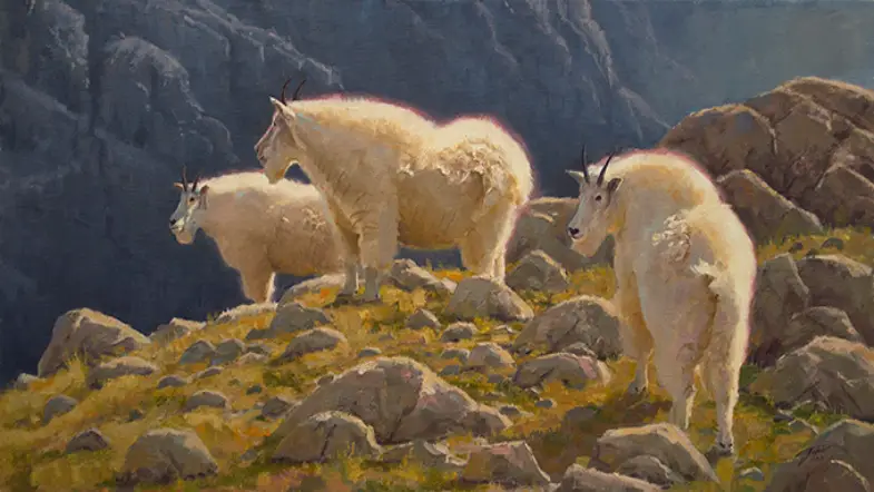 Explore the Great Outdoors With the Help of Our Nonfiction Wildlife Picks!