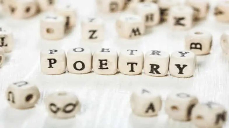 5 Poetry Collections for People That Don’t Like Poetry