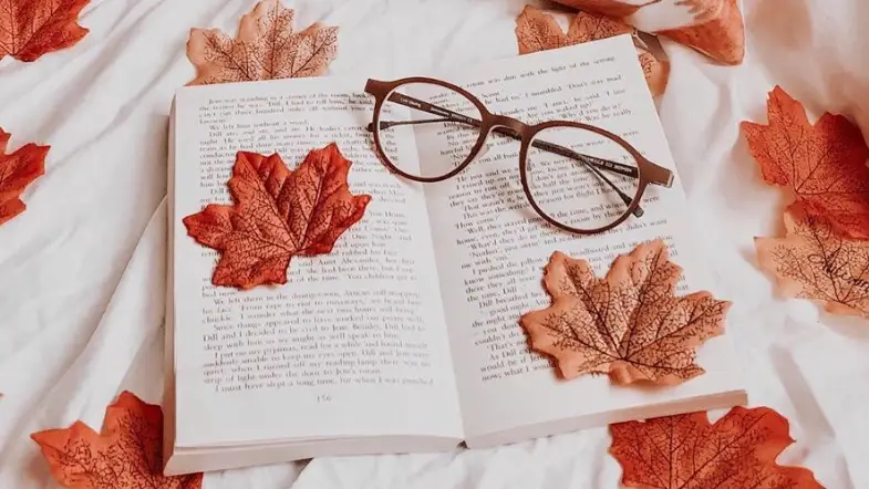 #Bookstagrammer of the Week: @the.cozy.bee