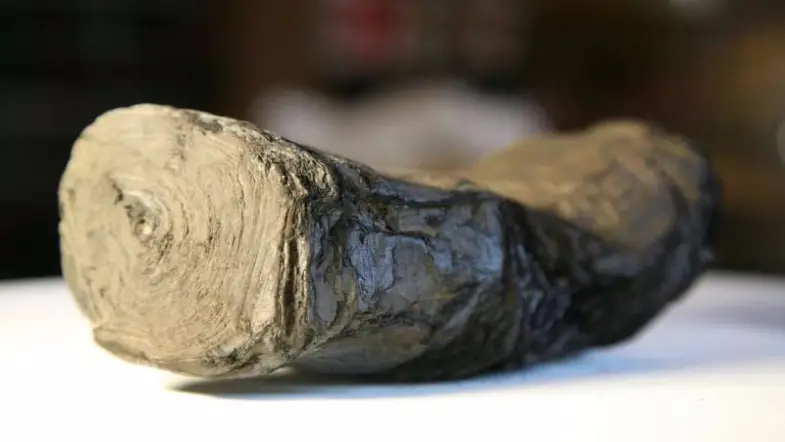 Scientists Unlock Secrets of Ancient Pompeii Scrolls