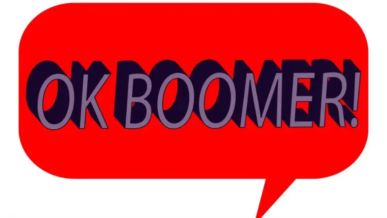 “Ok Boomer” Is Becoming A Book