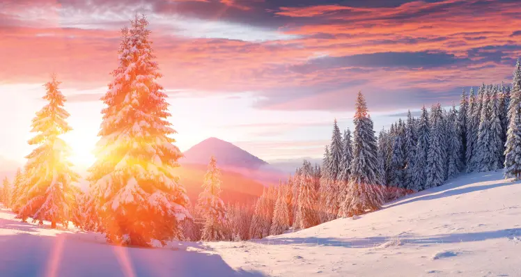 5 Poems To Get You In The Mood For Winter