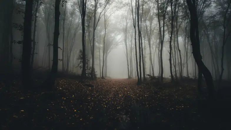 5 Thrillers We’ll Never Stop Fearing