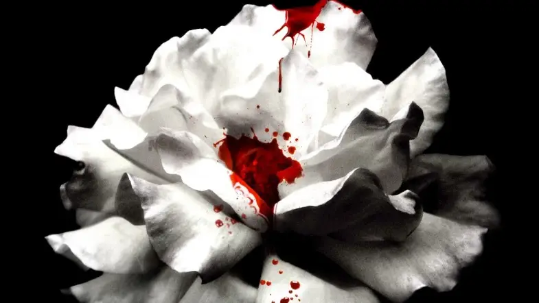 Universal Takes A Bite Out Of Vampire Novel ‘Crave’