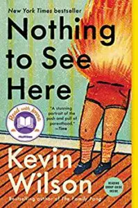 nothing to see here book cover