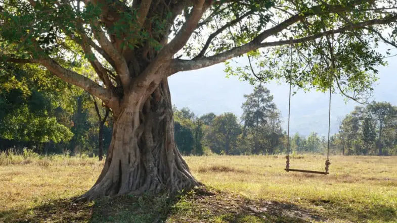 5 Poems About Summer