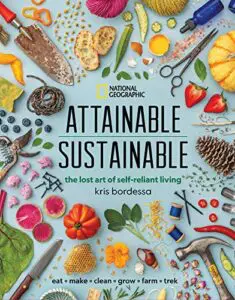 book cover of attainable sustainable