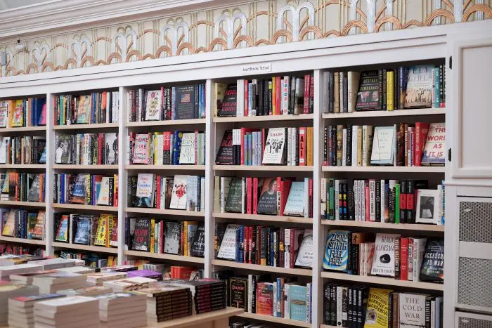skylark books