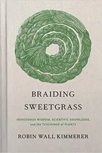 book cover of braiding sweetgrass