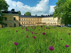 Lapinlahti