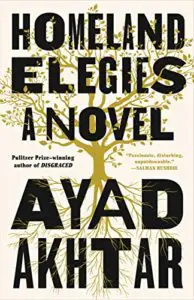 book cover of homeland elegies