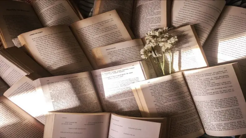 Bookstr Shares Their Bookshelves