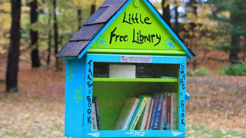 Little Free Libraries Help Promote Racial Diversity
