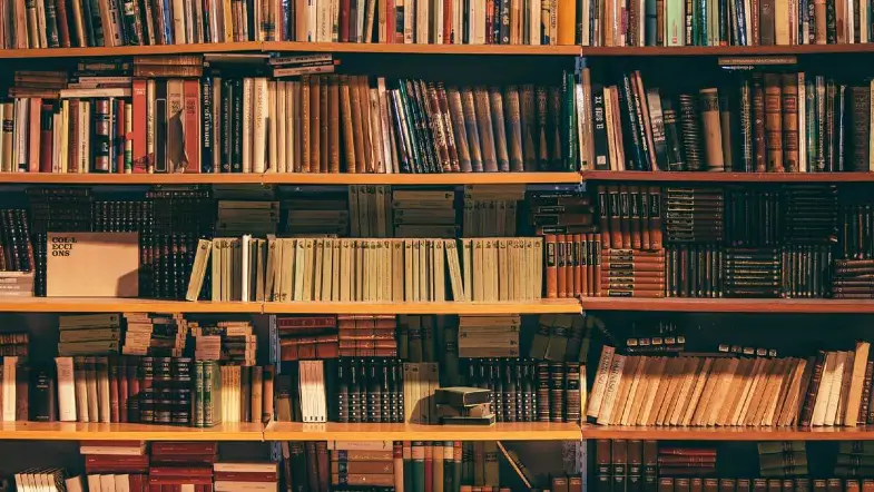 5 College Novels for Fall Semester