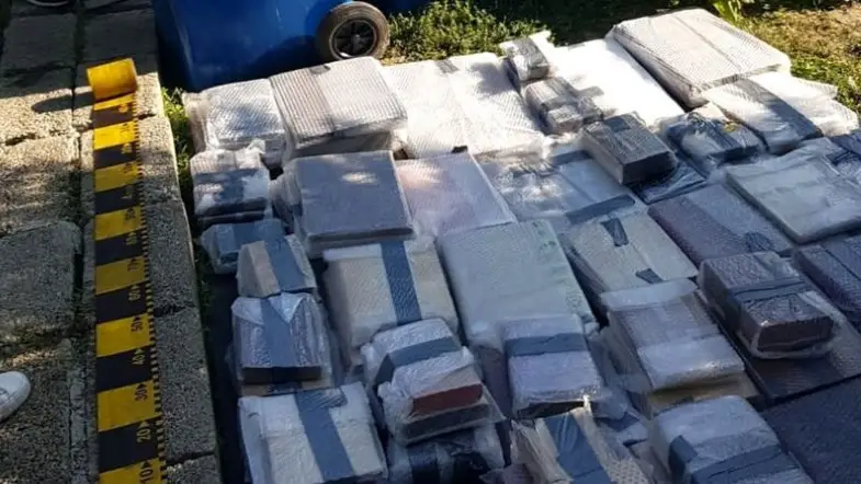 Stolen Books Worth $3.5 Million Discovered Beneath a House in Romania