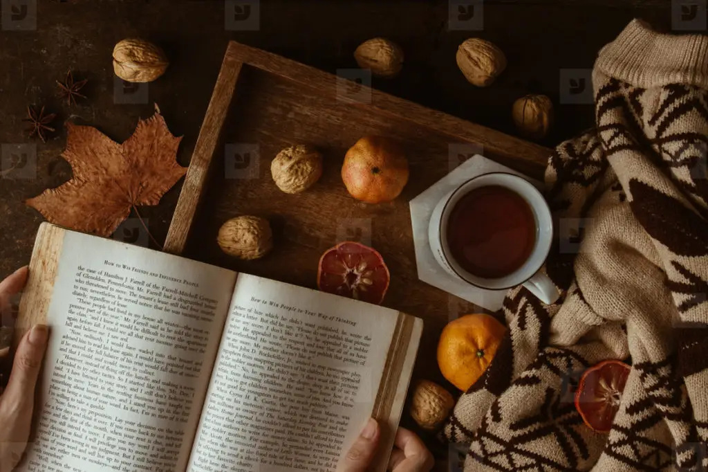 Non-horror Reads to Embrace Halloweeny Vibes