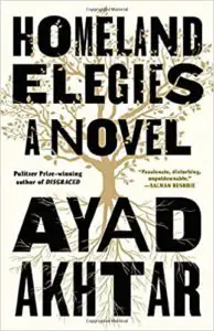 book cover of homeland elegies
