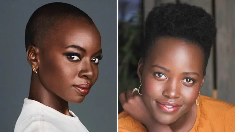 ‘Americanah’ Not Moving Forward After Lupita Nyong’o’s Departure