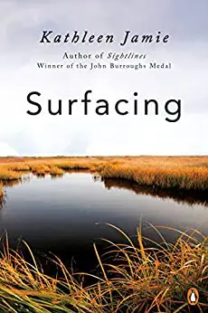 Book cover of Surfacing