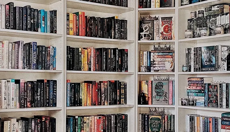 #Bookstagrammer of the Week: @libraryinthecountry