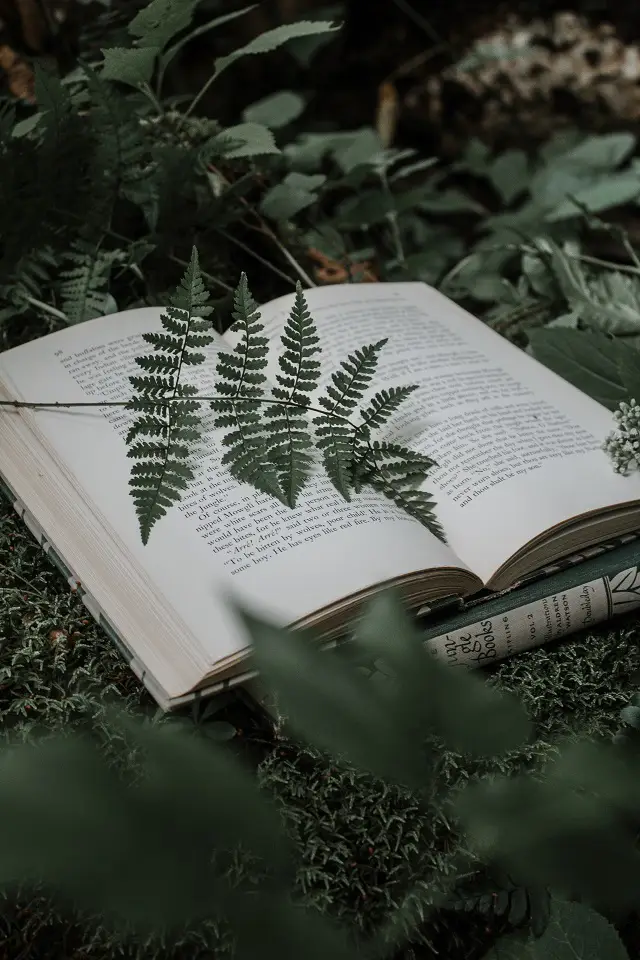 Image of an open book sitting on the ground surrounded by green leaves and plants
