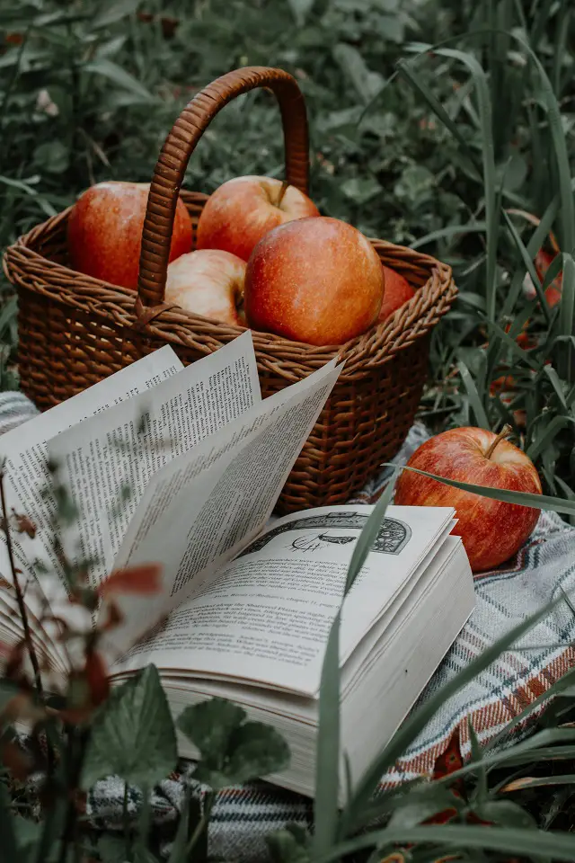 Image of a open book next to a basket of apples