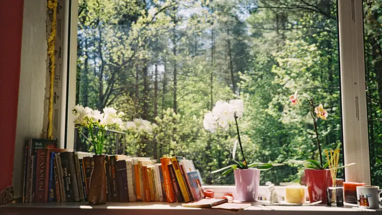 8 Most Anticipated Reads of 2021