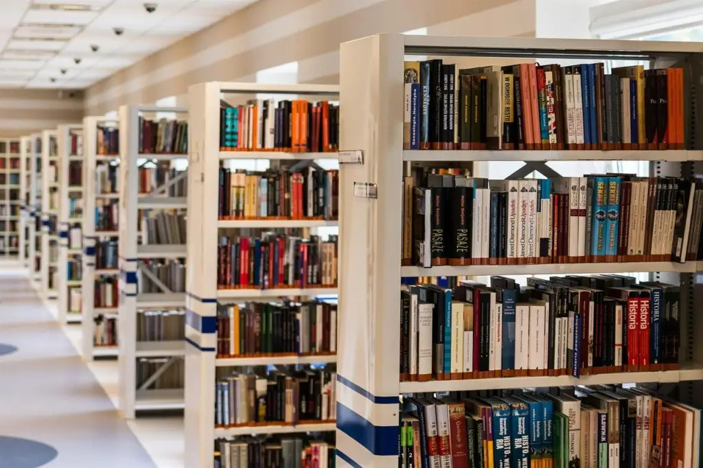 5 Reasons Why I’m Excited to Get Back to the Library in 2021