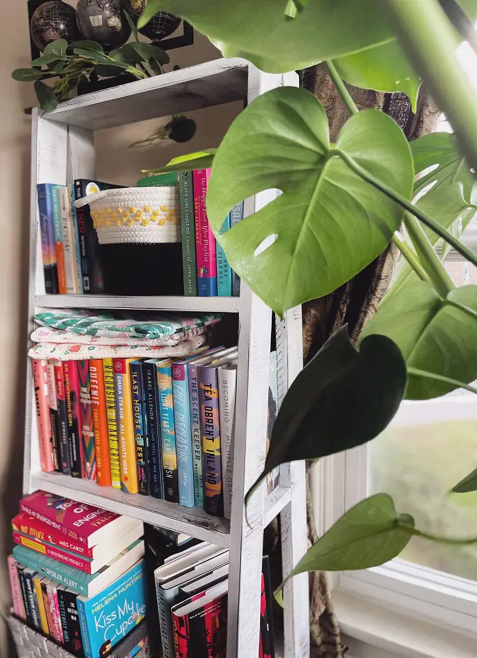 Image of a bookshelf with colorful books and plant leaves in the foreground