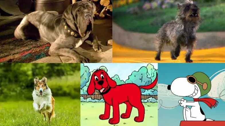 Find Out Which Literary Dog is Your Perfect Walking Buddy