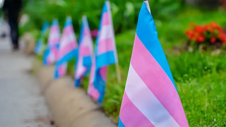 Transgender Day of Visibility: 5 Books to Read