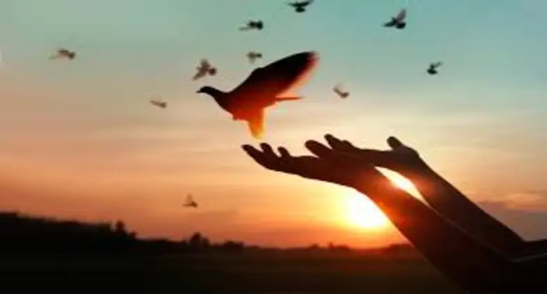 7 Forgiveness Poems that will Change Your Outlook on Life