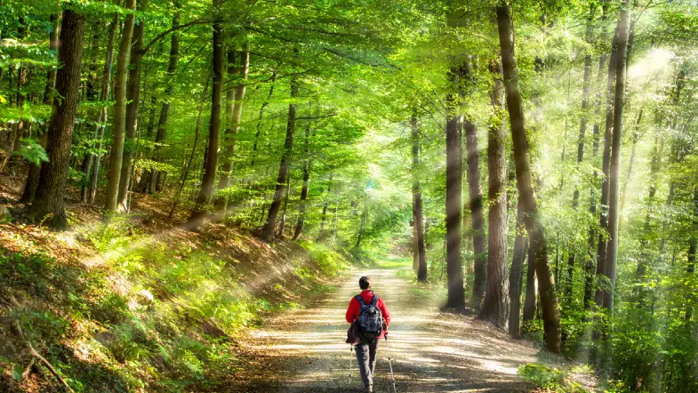 Nature Books to Inspire You to Explore this Summer