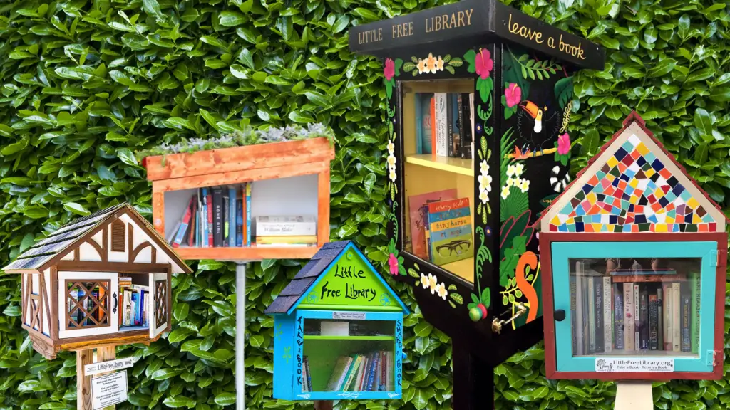 Why Everyone Should Visit a Little Free Library