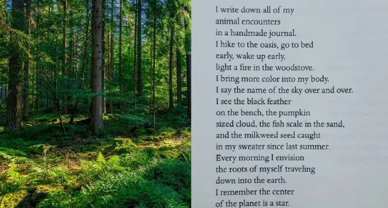 5 Poems About the Earth for Summer Solstice