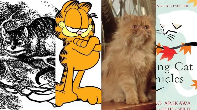 Four Favorite Fictional Felines