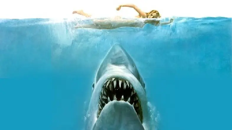Taking a Bite Out of Jaws: Differences in the Book and Movie