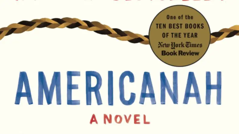 Americanah: Where Literary Fiction Meets Romance?