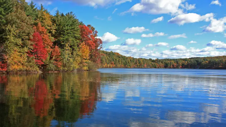 9 Henry David Thoreau Quotes To Live By