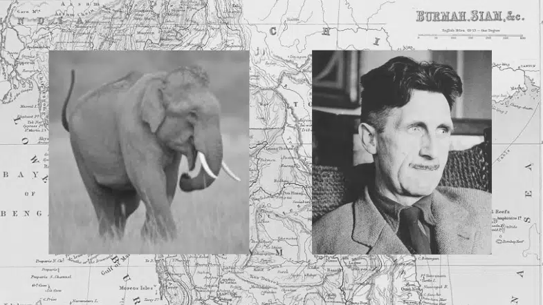 Elephants, Orwell, and Imperialism: An Unromantic Look