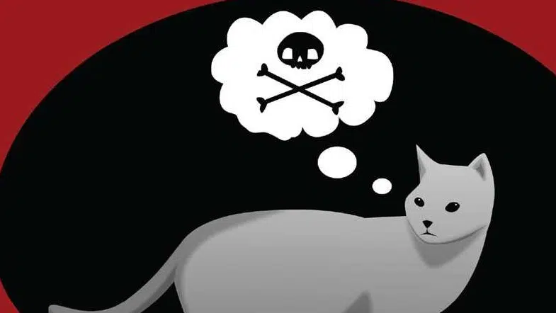 9 Ways Cats and Reading Don’t Mix