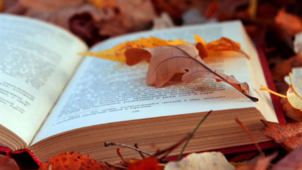 5 Cozy Reads to Celebrate the Autumnal Equinox