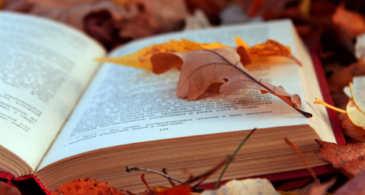 5 Cozy Reads to Celebrate the Autumnal Equinox