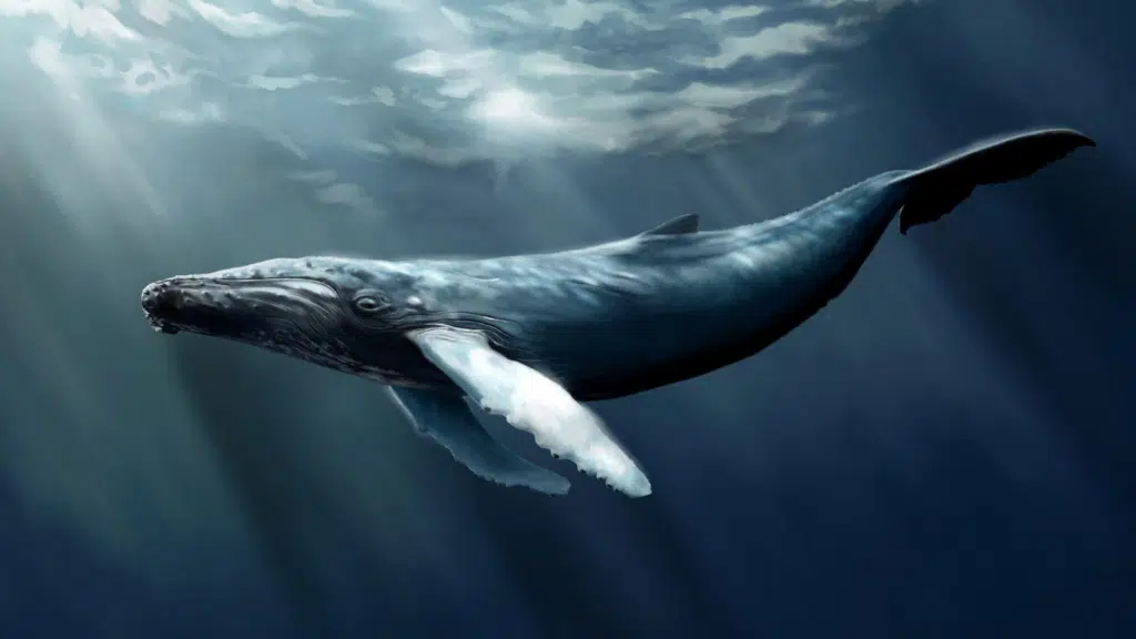 World Ozone Preservation Day: ‘Fathoms’
