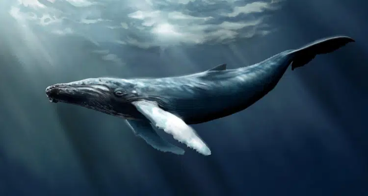 World Ozone Preservation Day: ‘Fathoms’